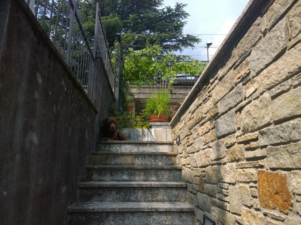 Apartamento Venanzio! Pianello Del Lario Exterior foto
